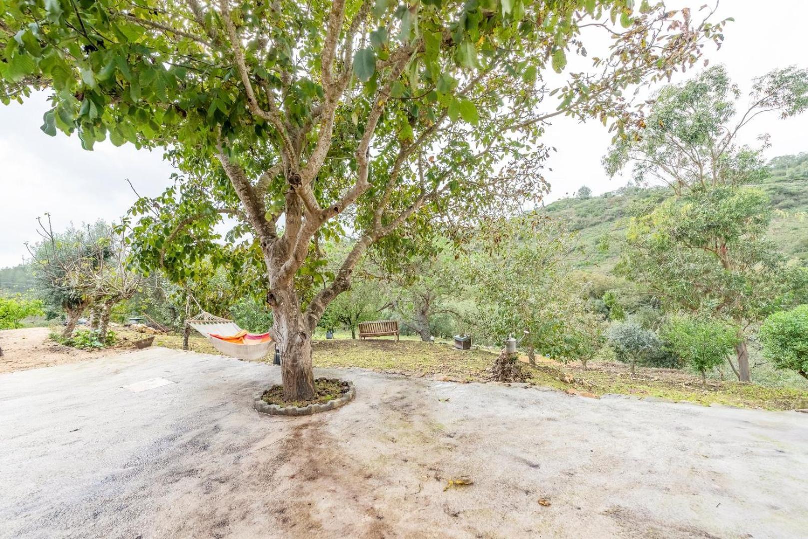 Countryside Paradise In Bucelas מראה חיצוני תמונה