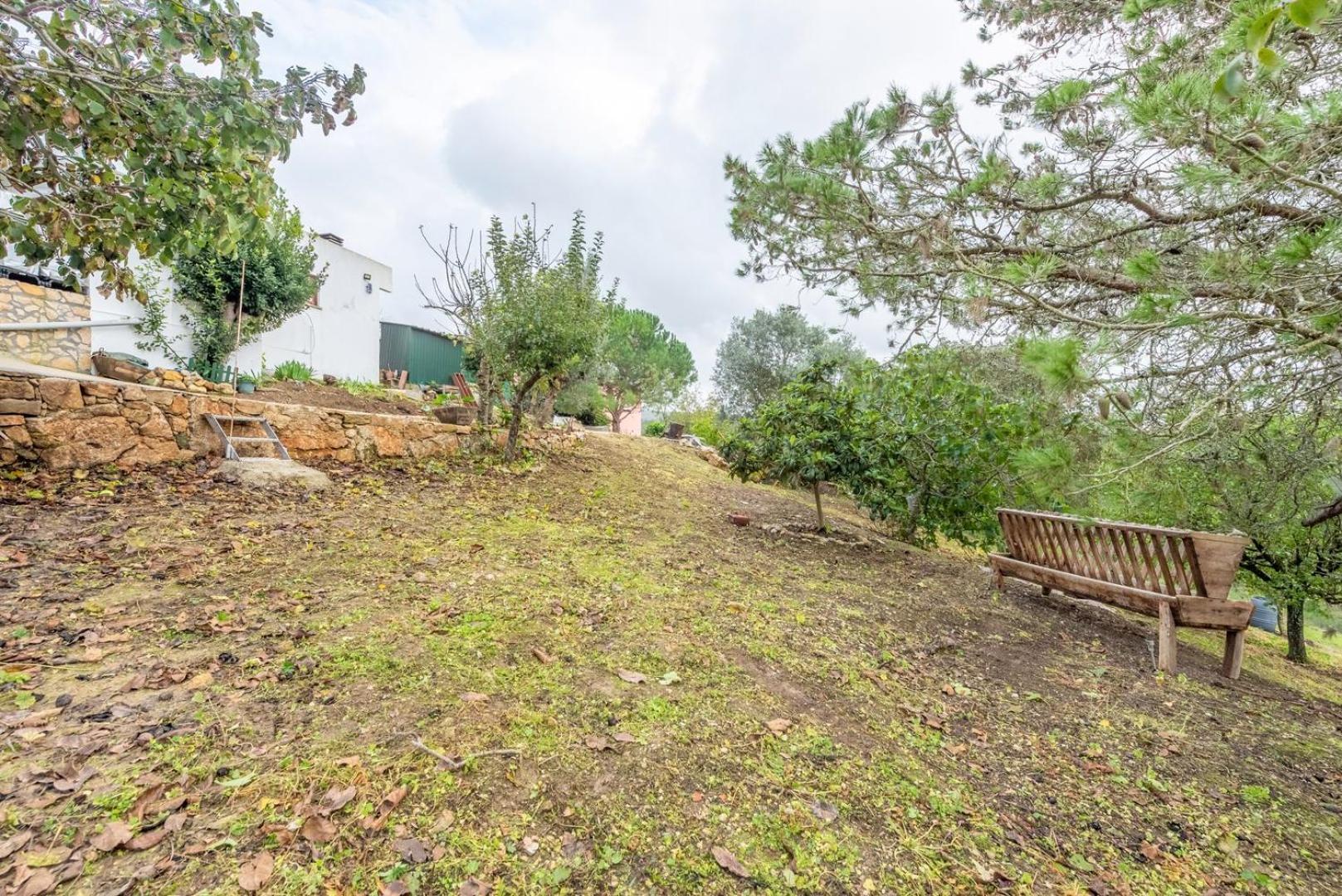 Countryside Paradise In Bucelas מראה חיצוני תמונה
