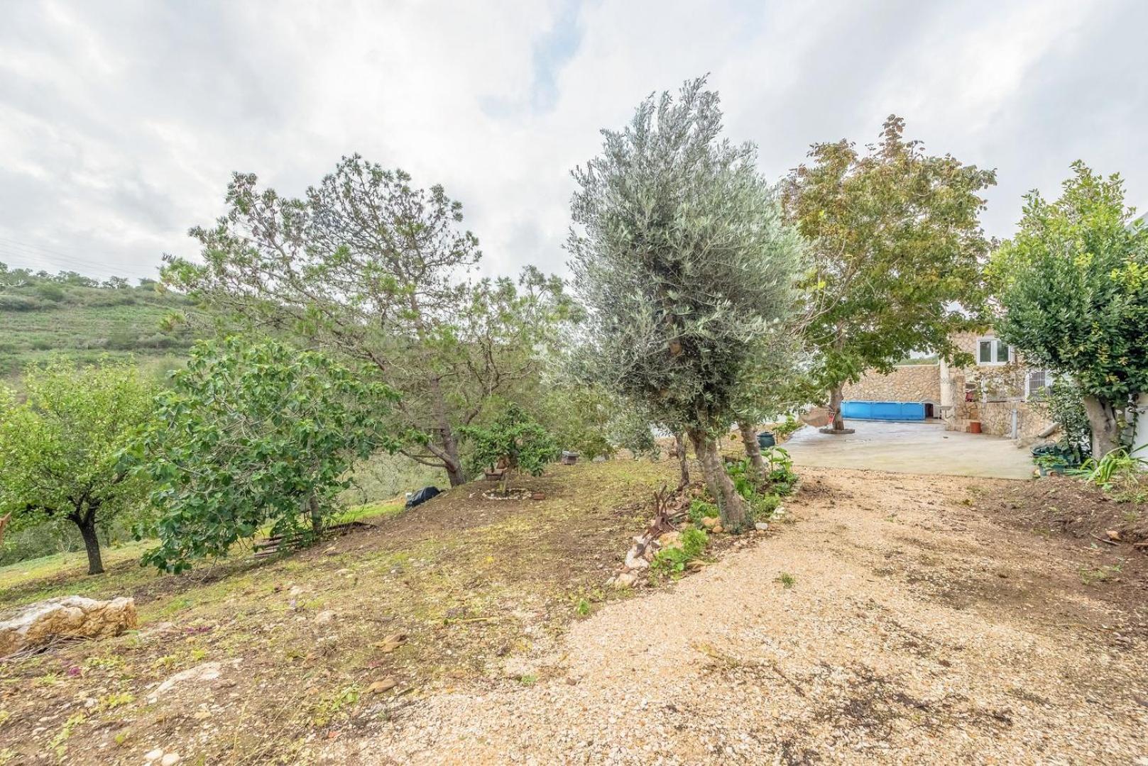 Countryside Paradise In Bucelas מראה חיצוני תמונה